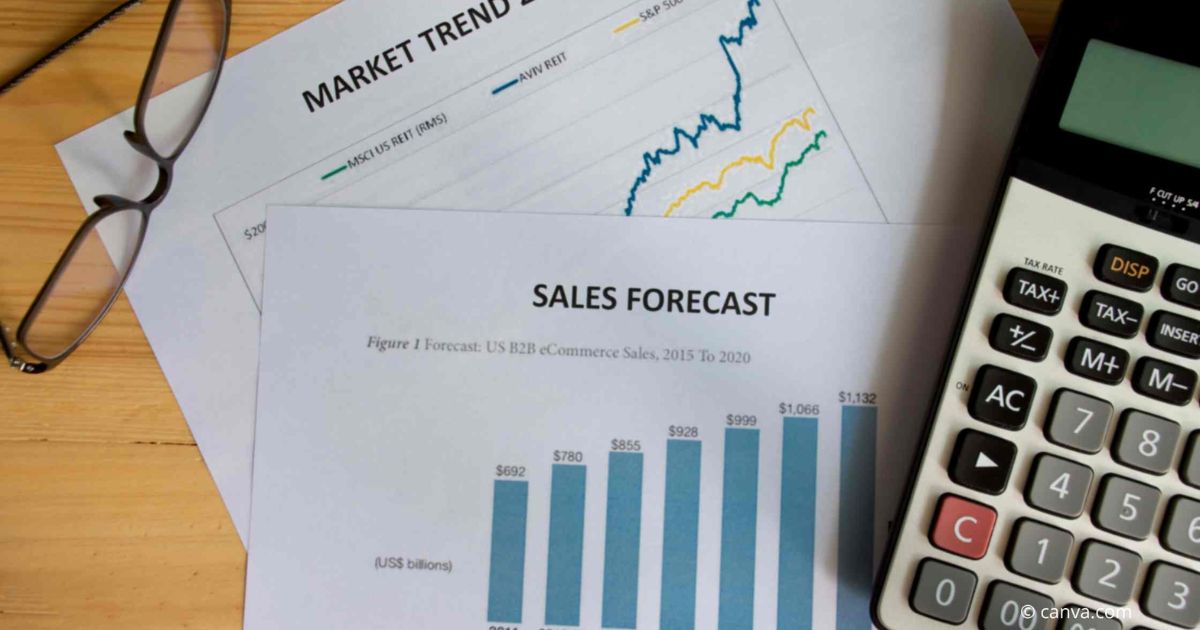 Cash Flow Forecasting